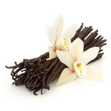 Pure Natural Vanilla Essential Oil For Candles Vanilla Fragrance Oil Vanilla Oil Body Lotion Shampoo