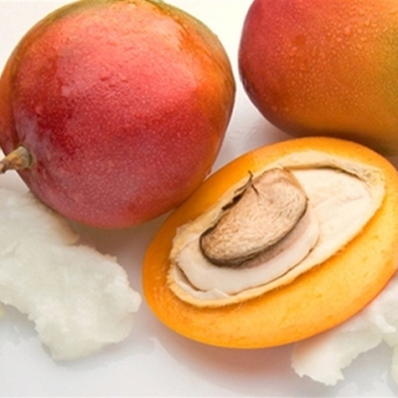 Organic Bulk Mango Butter Body Cream Lotion Unrefined Natural White Adults Female Bio Aqua Rice Raw Pulp Body Lotion raw Lotion
