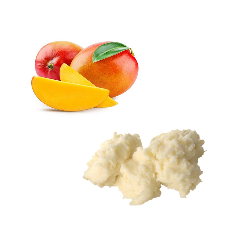 Organic Bulk Mango Butter Body Cream Lotion Unrefined Natural White Adults Female Bio Aqua Rice Raw Pulp Body Lotion raw Lotion