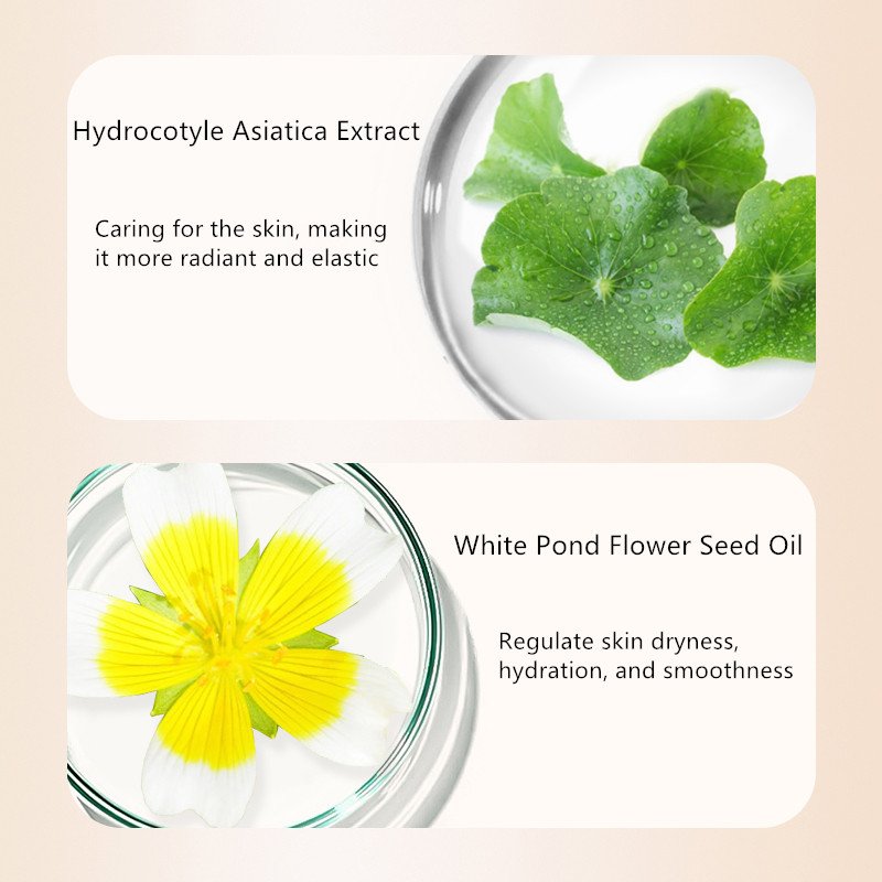 Private Label Brightening Skin Tone Body Milk Whitening Centella Asiatica Extract Moisturizing Skin Care Body Lotion
