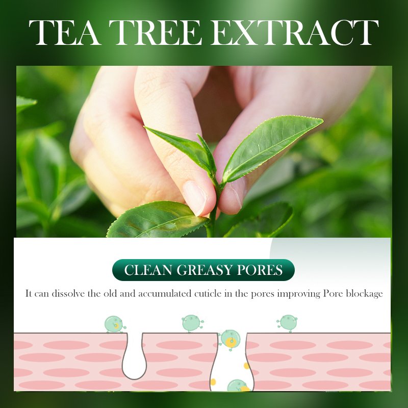 OEM SADOER korean custom whitening tea tree face toner lotion herbal smoothing beauty products face skin care set