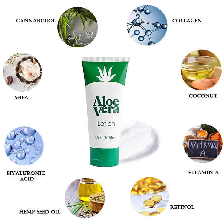Customize Scents Mango Vera 72pcs/jar Mini Moisturizing Body Hand Cream & Lotion for Women Dry Skin