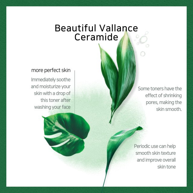ARUMVIT Balance Ceramide Hydrating Body Lotion New Arrival Hot Selling Korean BODY CARE Product Wholesale