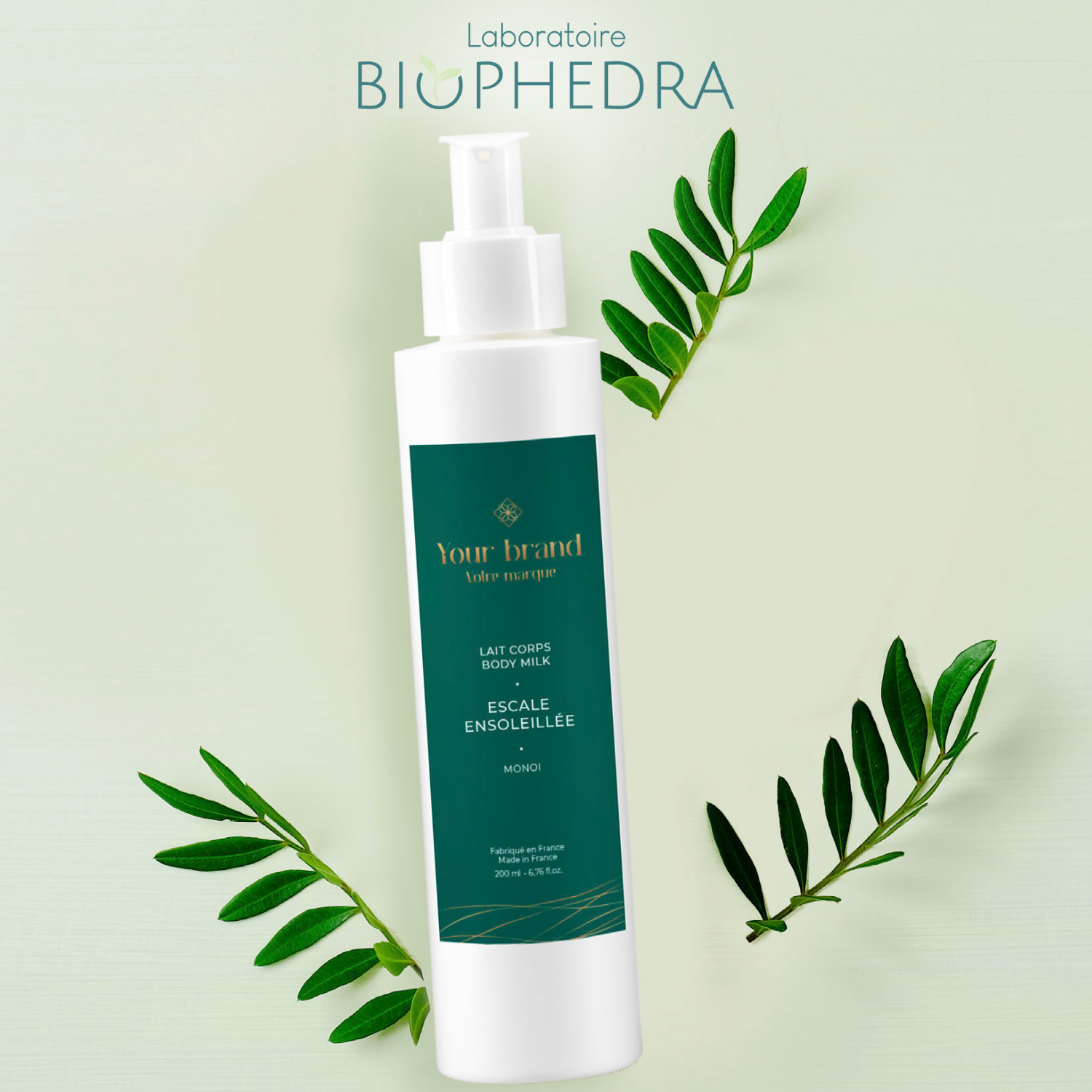 High Quality Organic Honey Body Lotion Red Fruit Scents Olive Leaves OEM Private Label Skincare Made France Low Nourishing