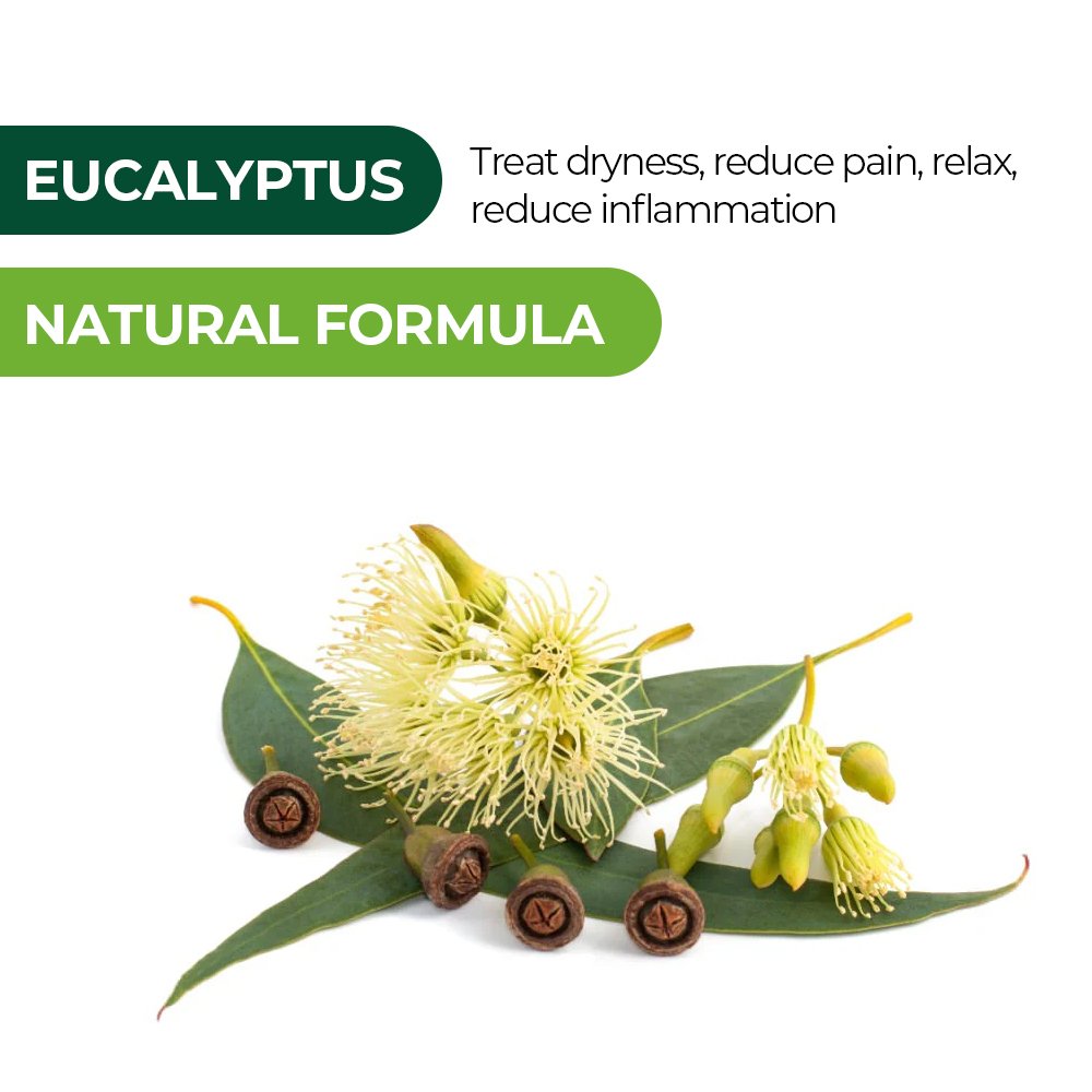 Private Label Natural Women Body Care Products Eucalyptus Mint Moisturizing Whitening Nourishing Dry Skin Body Cream Lotion