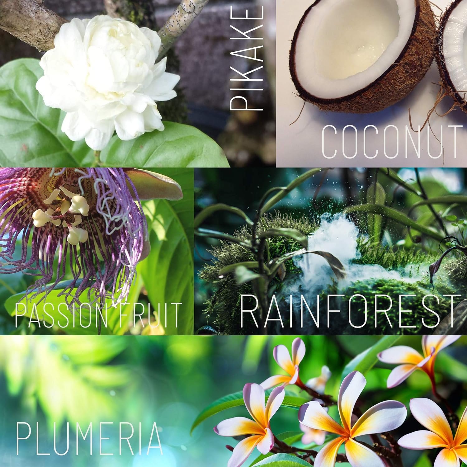 TROPICAL APOTHECARY Pikake Body Butter with Pure Tropical Oils and Plant Extracts baby skin whitening cream