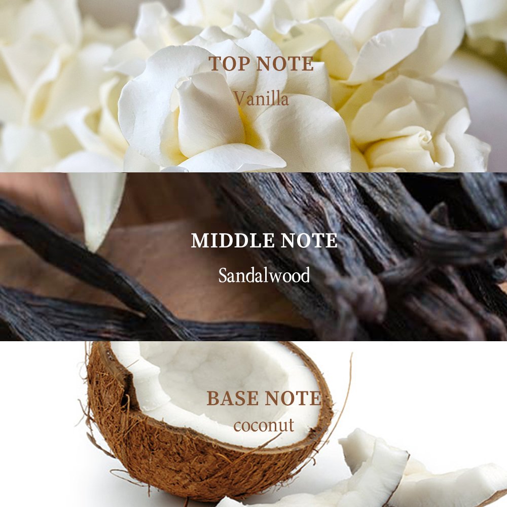 KOEC Perfume Roll On Oil (Vanilla Skin) Wholesale Long-Lasting Fragrance Perfume Spray Scent Luxury Perfume Gift Body Mist