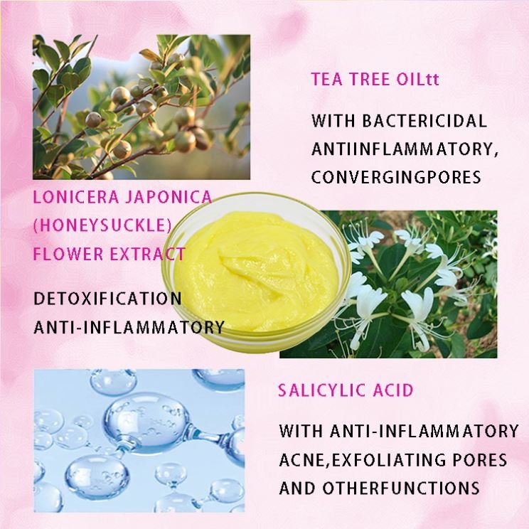Cosmetic Ingredients Women's Products Anti Acne Anti Aging Face Cream Deep Hydration Women Moisturizer Face Cream