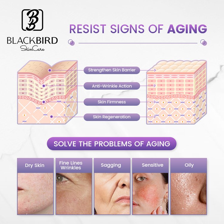 Private Label Organic Natural Retinol Centella Asiatica Night Cream Skincare Relieving Repairing Moisturizing Facial Cream