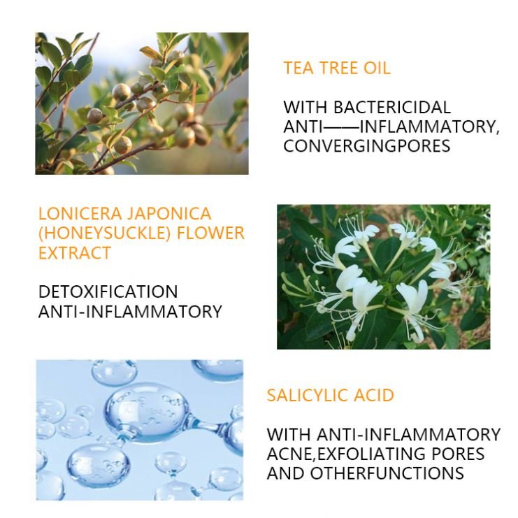 High Quality Acne Treatment Organic Skincare Kit Face Cleanser Aging Anti Acne Cream Tea Tree Skin Care