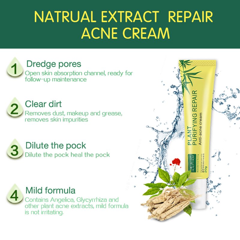 Cosmetics Skin Care Creams Organic Pure Plant Extract Anti Acne Face Cream Private Label Beauty Acne Scar Removal Facial Cream