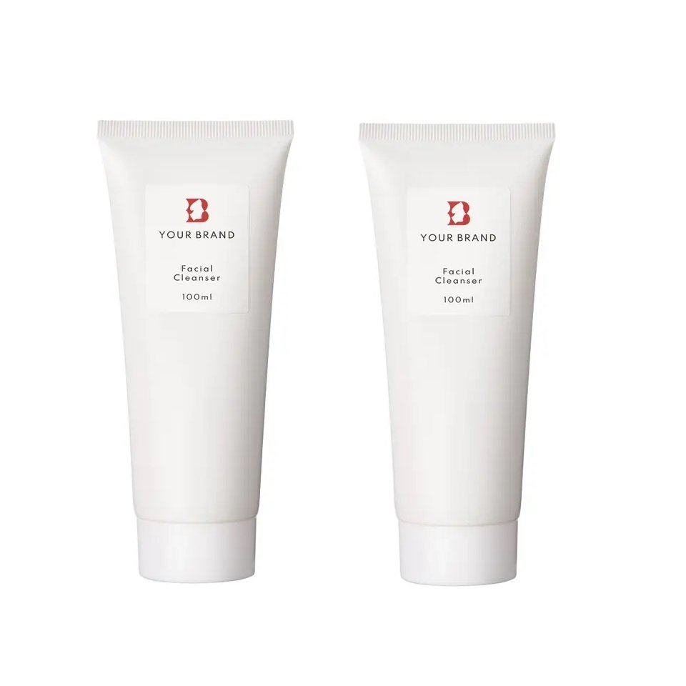 High Quality Normal Beauty Skin Care Moisturizer Silicone-Free Unisex Oily Skin Type Vietnam OEM ODM Cream 100ml Facial Cleanser