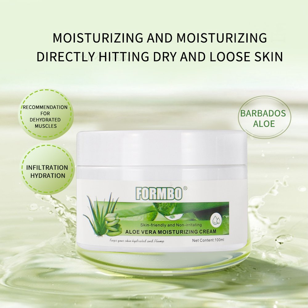 Custom Logo Wholesale Skin Friendly Hydrating Moisturizing Nourishing Whitening Aloe Vera Vitamin C Face Cream 100ml