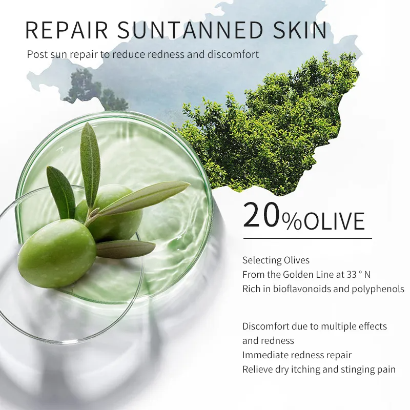 Skin care products moisturizing hydrating gentle rejuvenating body and face lotions for women Olea Europaea cream