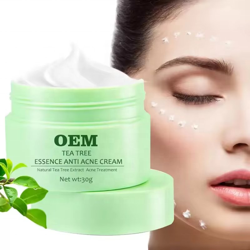 OEM Skincare Face Cream&Lotion for Acne and Oily Skin Wholesale Whitening Tea Tree Essence Anti Acne Cream