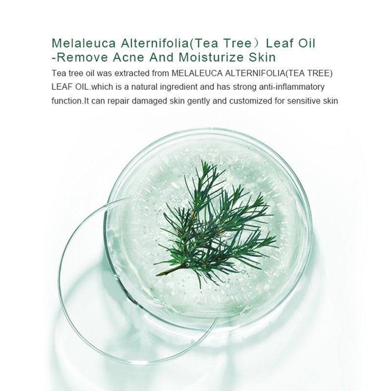 The Best Face Cream for Ladies Paraben-free Anti Acne & Moisturizing and Tea Tree & Purslane Green Face Paste Cream