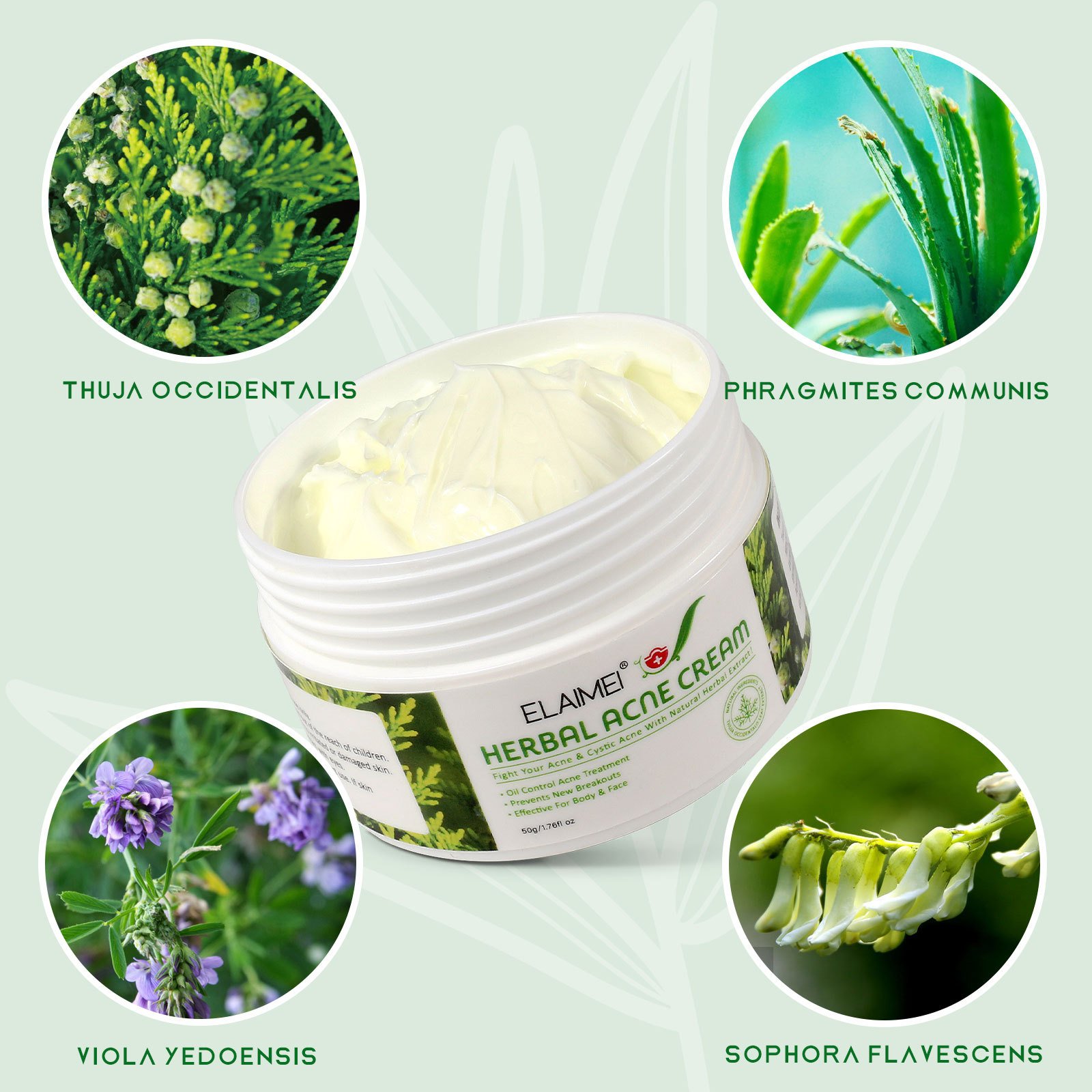 Custom Logo Tea Tree Oil Face Cream Crema Hidratante Skin Care Moisturizing Scars Remove Cream Creme Visage Natural Acne Cream