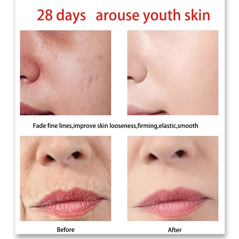 Six peptide anti wrinkle Face Cream Beauty Anti wrinkle Whitening cream Skin Spot lightening cream OEM Cosmetics