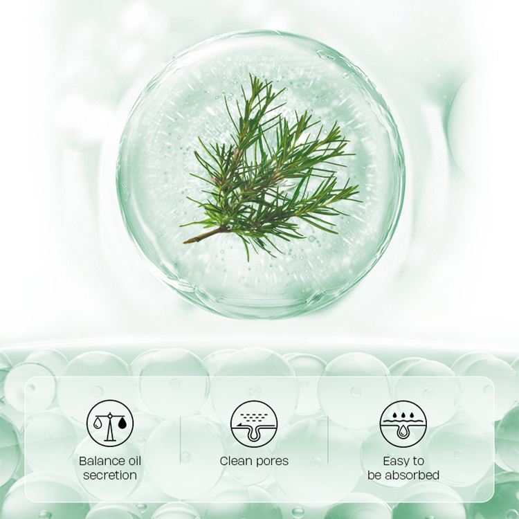 OEM ODM natural face care scars treatment tea tree oil acne face cream for women