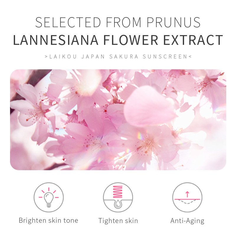 Wholesale LAIKOU Sakura Korean Prevent Sunburn Sun Tan Screen Cream UV Protection Suncream Sun Skin Sunscreen Cream spf 50