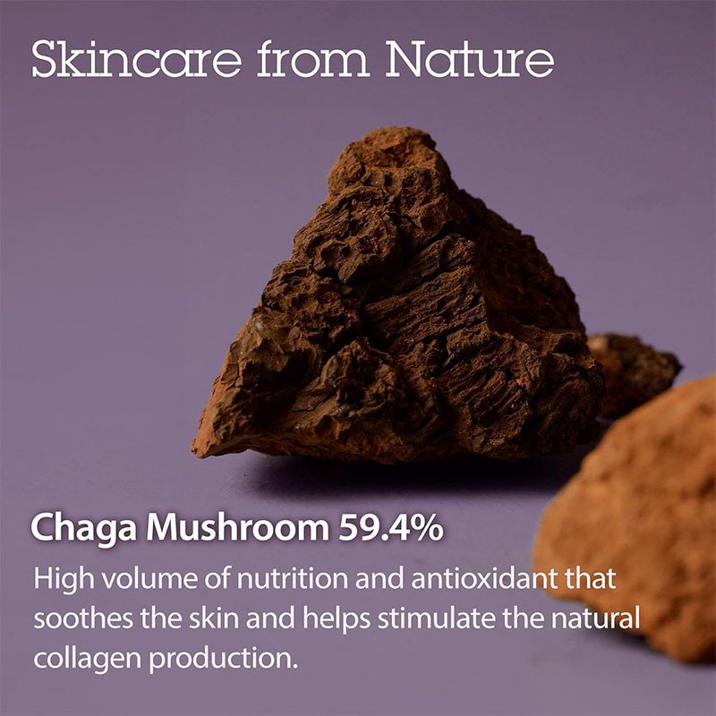 CARVENCHY Pressed Serum Chaga Mushroom Advanced Skin Tightening Cream Face Tightening Lifting Formula Natural Face Lift