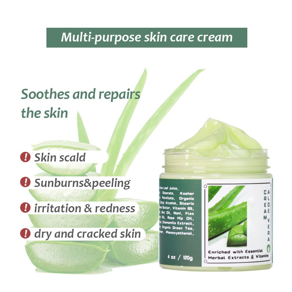 Customization Improve Roughness Dryness Anti-Aging Hydrating Moisturizing Aloe Face Cream