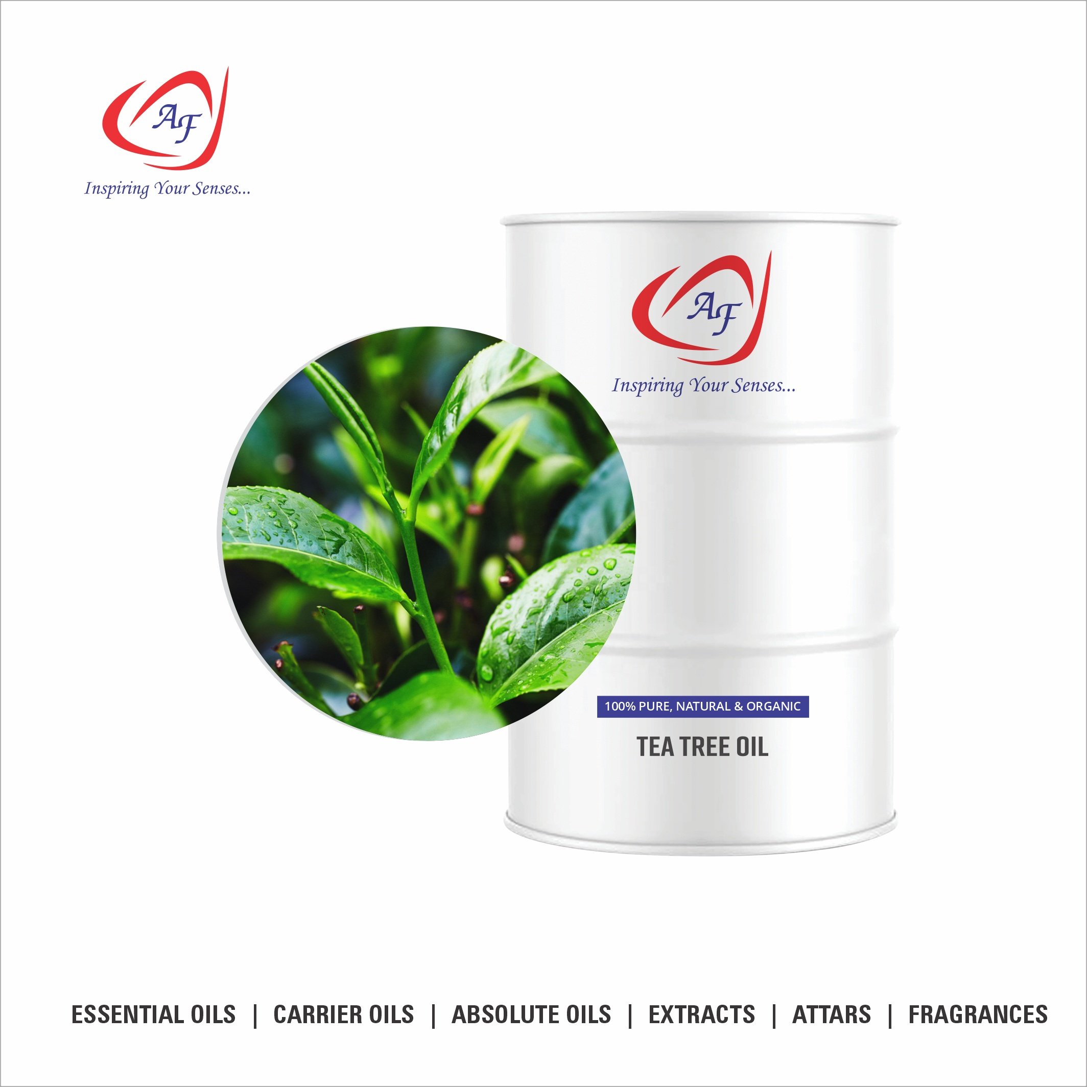 Best Quality 100% Pure Tea Tree Essential Oil For Aromatherapy And Body Massage Oil