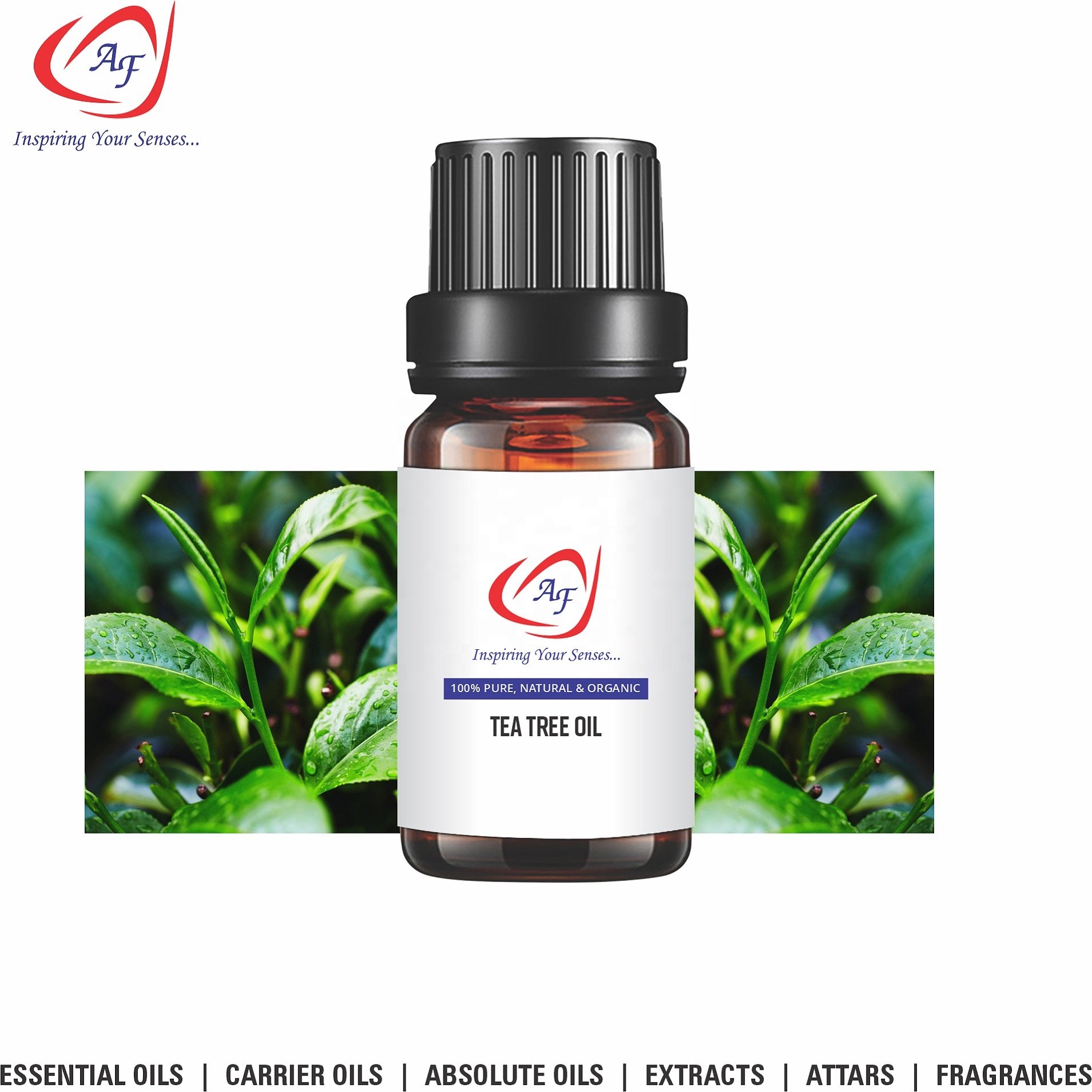 Best Quality 100% Pure Tea Tree Essential Oil For Aromatherapy And Body Massage Oil