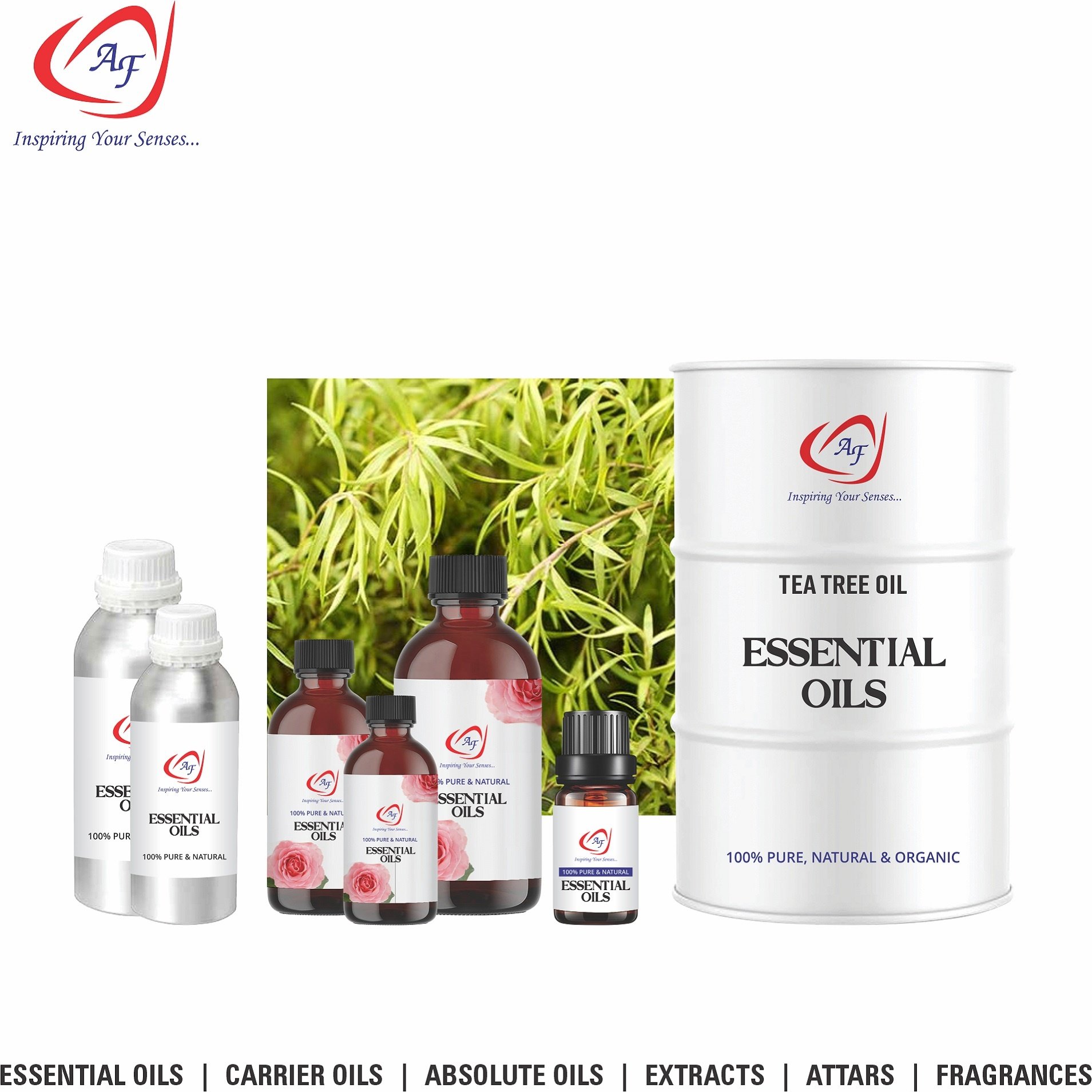 Best Quality 100% Pure Tea Tree Essential Oil For Aromatherapy And Body Massage Oil