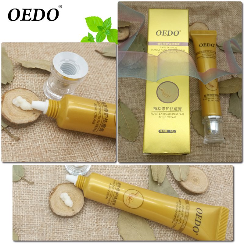 Plant Extraction Repair Anti Acne Face Cream Ginseng Scutellariae Extract Face Care Acne Scar Treatment Face Cream Whitening 20g