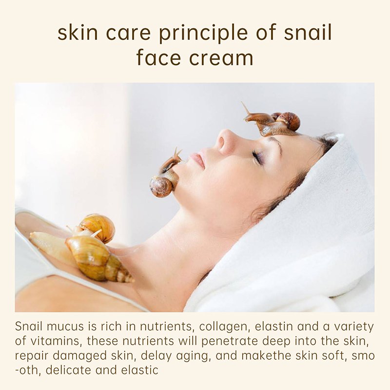 Wholesale private Label collagen snail face cream Moisturizer Whitening Anti-aging Wrinkles snail repairing cream