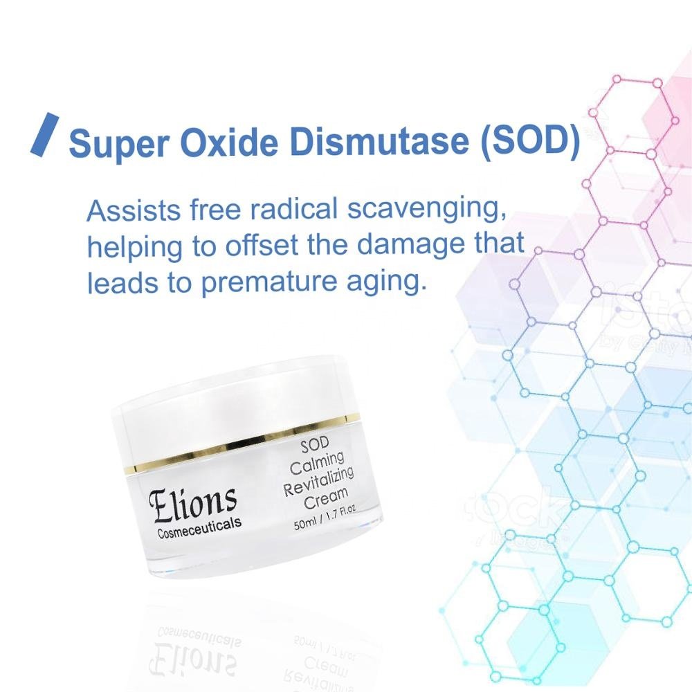 Superoxide Dismutase Peptides Aqua Moisturizer Face Cream Anti-Aging Skin Soothing Cream with Vitamin E and Aloe Vera