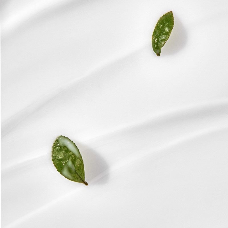 Customized Moisturizing Niacinamide Moisturizer Whitening Mugwort Face Cream For Face Glowing