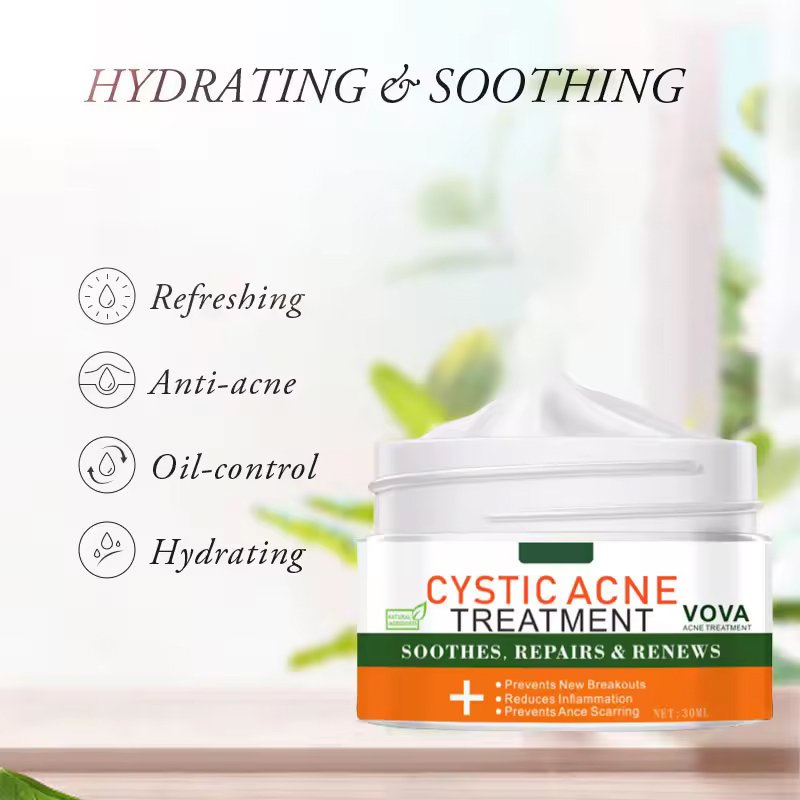 Best Korean Skin Care Natural OEM/ODM Organic Vegan Herbal Anti-Aging Aloe Vera 15 Days Acne Removal Repairing Face Cream