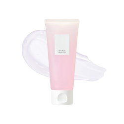 100mL