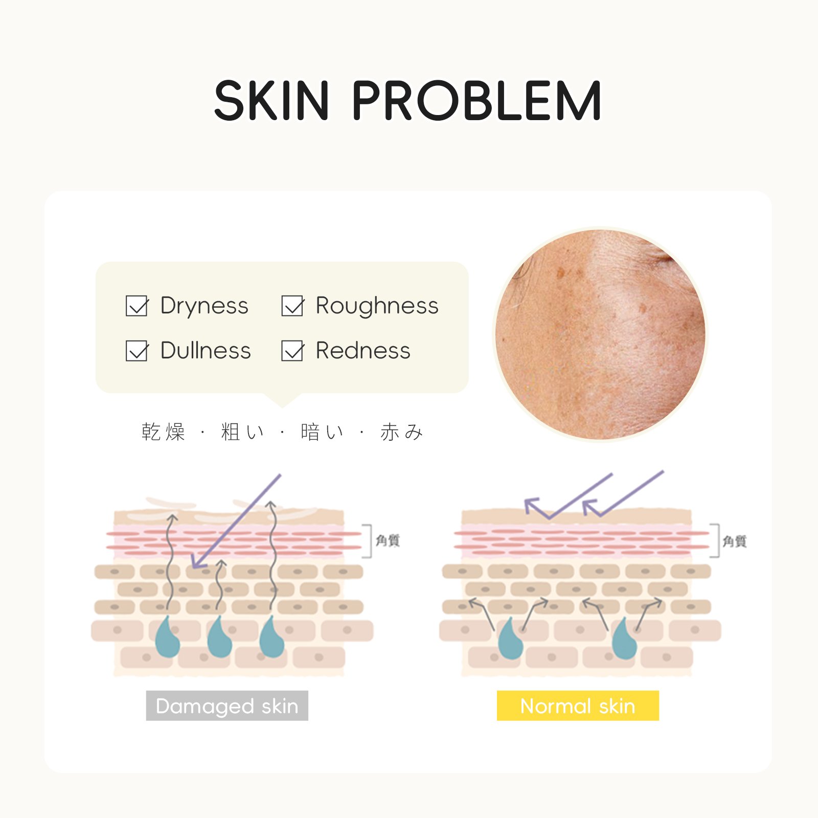 LAIKOU Beauty Moisturizing Skin Care Brighten Anti Wrinkles Antiaging YUZU Day & Night Mosturizer Face Cream