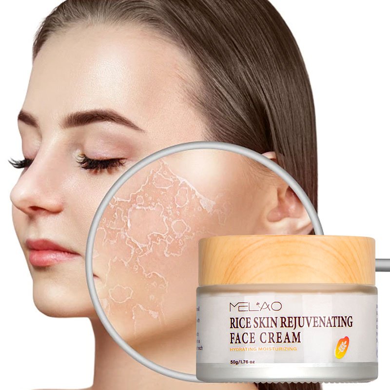 Skin Care Manufacturer Face Rice Ceramide Moisturizing Cream No Greasy Long Lasting Smooth Quick Absorb Face Cream