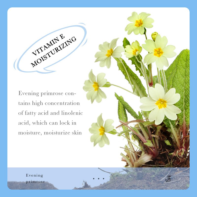 Moisturizing Evening Primrose Vitamin E Moisturizing Anti Wrinkle gel face cream
