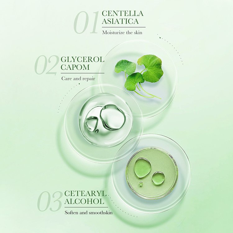 New Arrival Vegan Skin Care Water Lock Bomb Tender Skin Moisturizing Hydrating Centella Asiatica Nourish Repair Face Cream