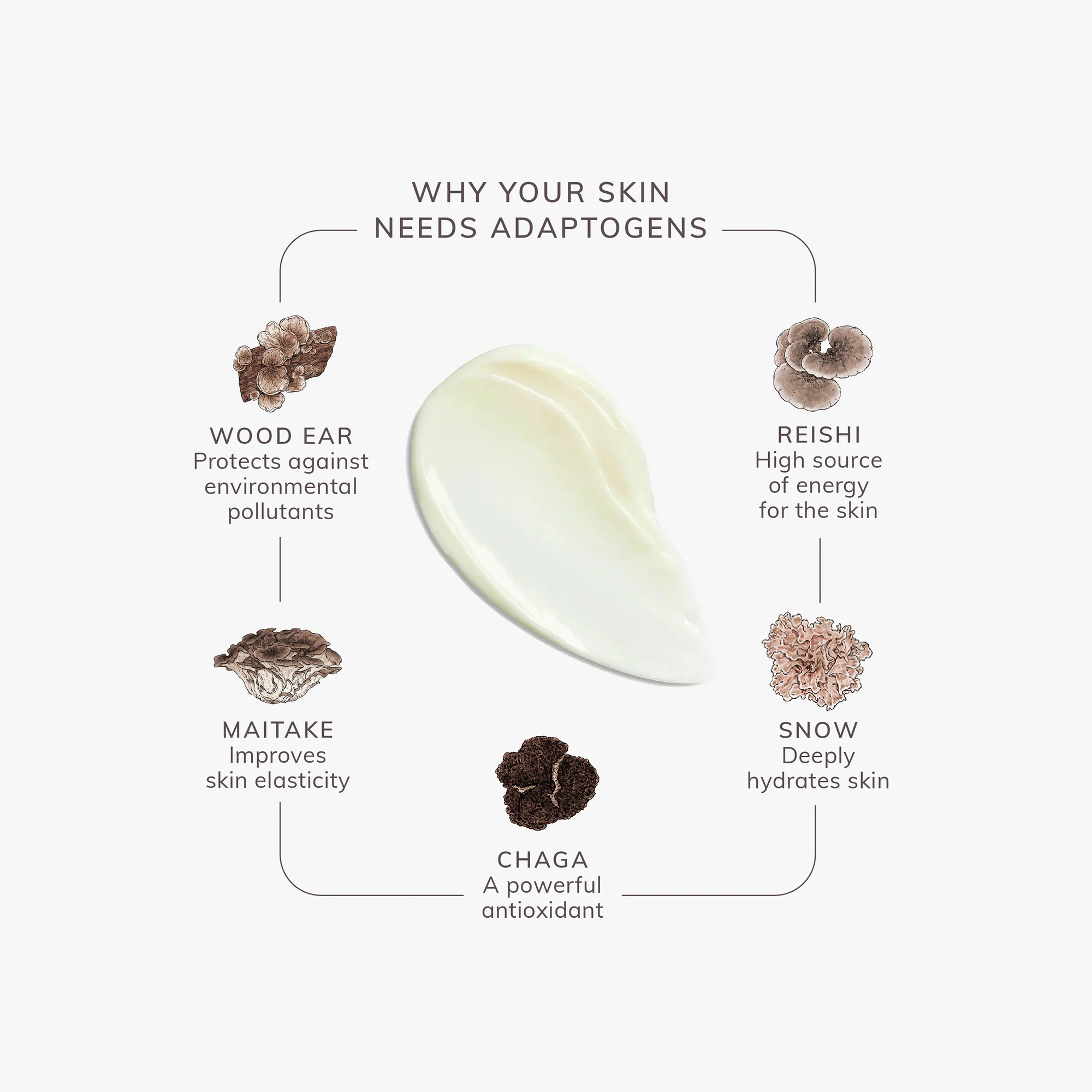 Natural Organic Mushroom Pentapeptide Hydrating Cream Skin Firming Face Moisturizer