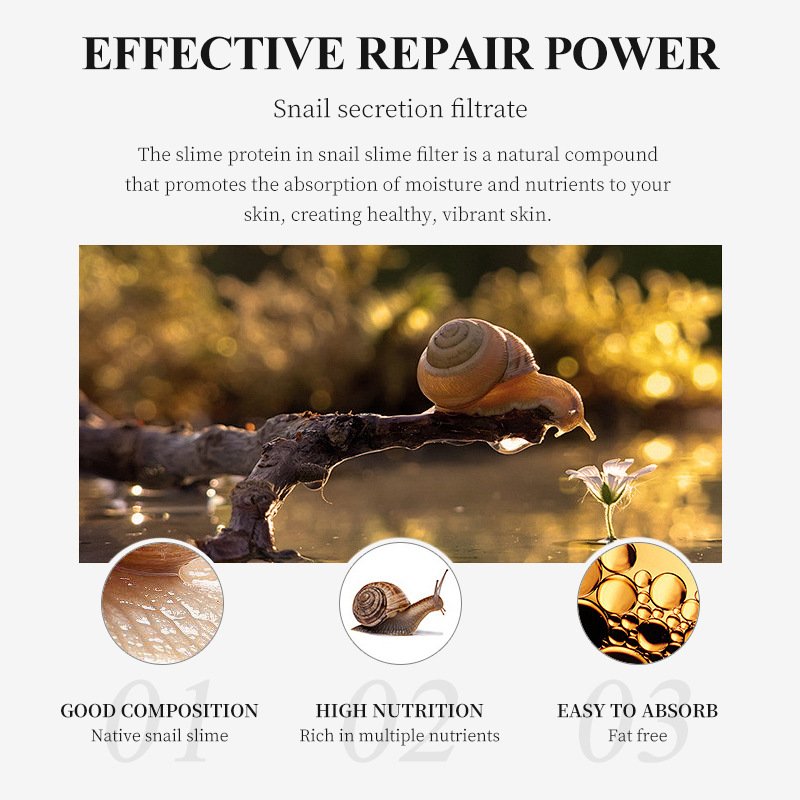 Snail Essence care skin care set improve skin quality Face cream Eye mask Essence Water cleansing gel wholesale Customization