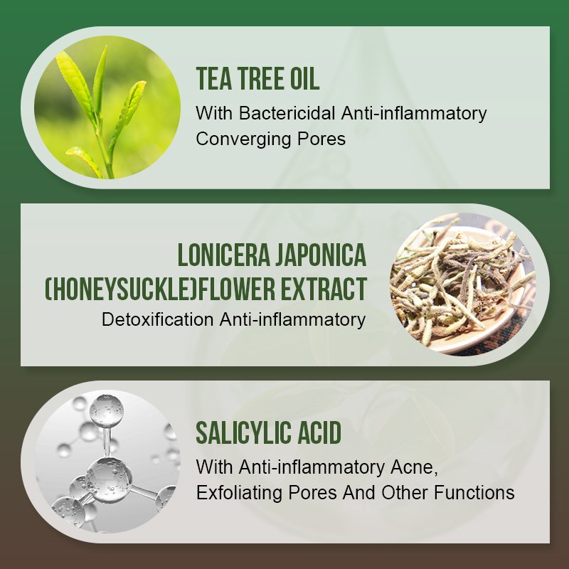 Korea Organic Skincare Pimples Remover Anti Acne Repairing Green Tea Face Cream Acne Treatment Moisturizer