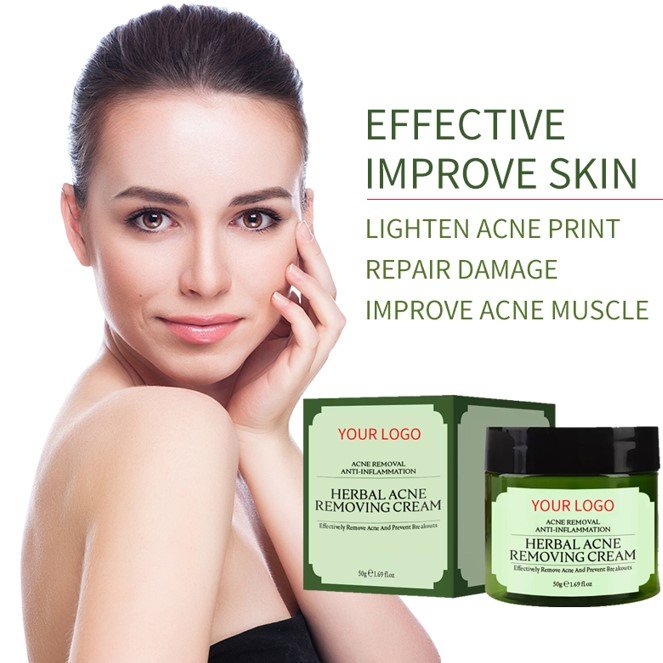 Wholesale Night Oil Control Skin Repair Acne Scar Pimples Removal Spot Treatment Tea Tree Oil Acne Face Cream
