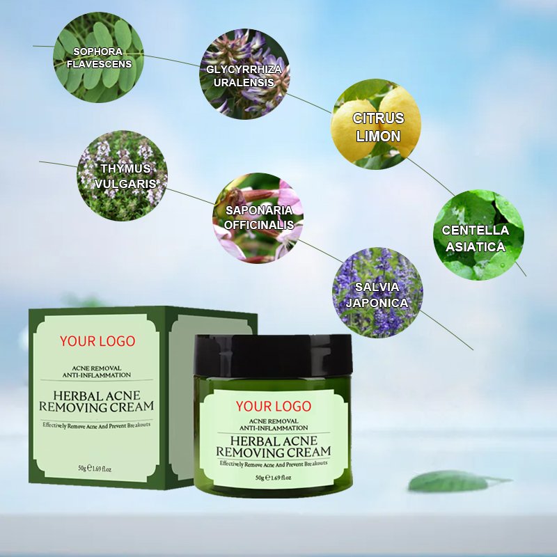 Wholesale Night Oil Control Skin Repair Acne Scar Pimples Removal Spot Treatment Tea Tree Oil Acne Face Cream