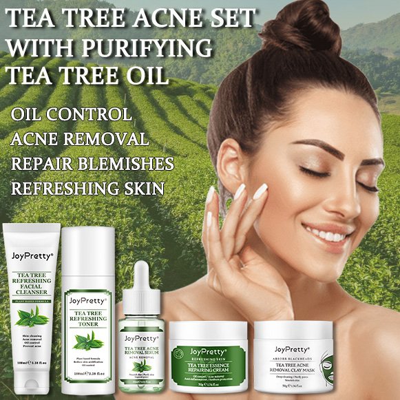 Hot selling Korea Skin Care Organic Tea Tree Set Hydrating Anti Acne Creams Facial Serum Face Cream For Dark Spot Acne