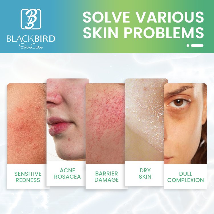 OEM/ODM Moisturizing Nourishing Anti Aging Probiotic Gel Cream Acne Firming Brightening Probiotic Gel Face Cream
