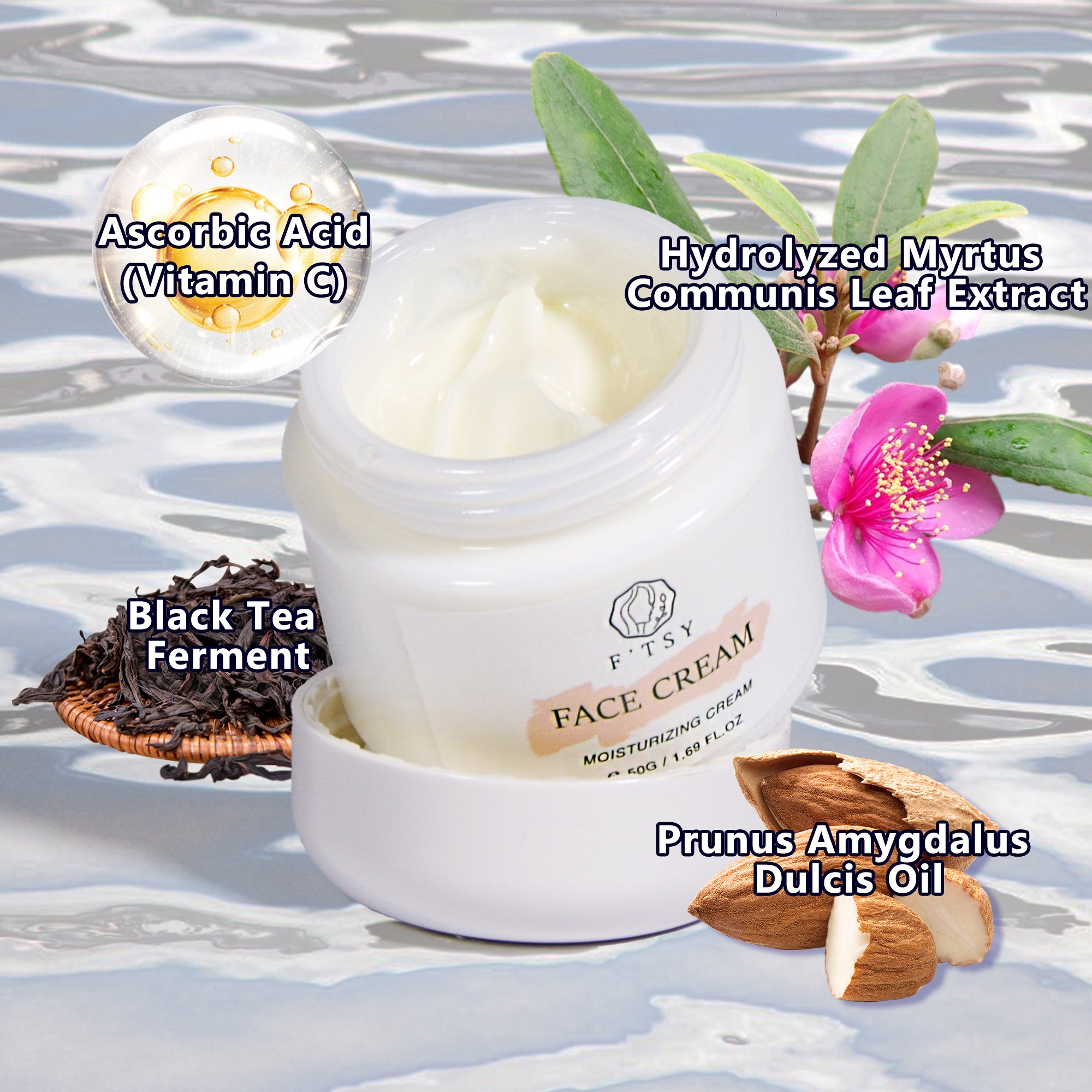 Private Label Anti Wrinkle Anti Aging Firming Seaweed Algae Creme Moisturizing Day and Night Face Cream