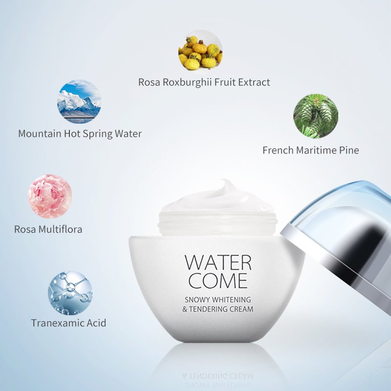 Natural Cosmetics Manufacturers Sale Whitening Face Cream 50g Moisturizing Anti Aging Face Cream for Women