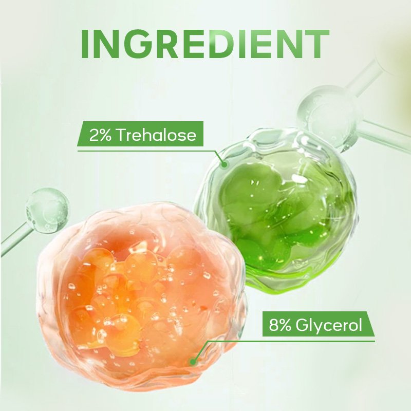 Avocado Series Exfoliating Face Wash Moisturizing Sleeping Mask & Smoothing Face Cream 3PCS Facial Skin Care Sets