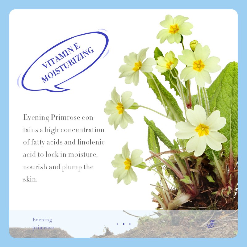 300g SADOER Day And night Evening Primrose Oil Vitamin E cream Nourishing Beauty Face Cream For Lady